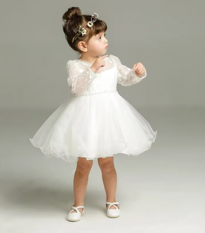 Elegant Embroidered Tulle Princess Dress - mamasame