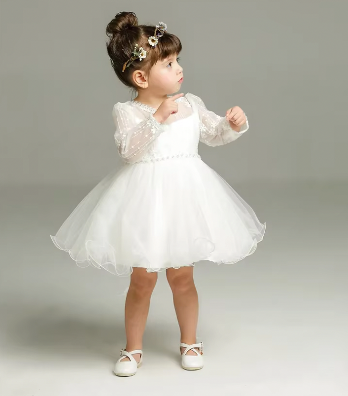 Elegant Embroidered Tulle Princess Dress