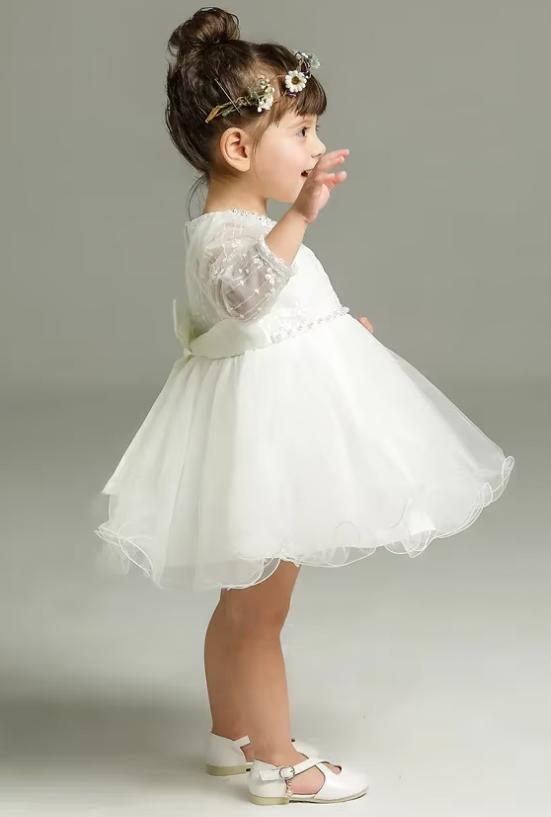 Elegant Embroidered Tulle Princess Dress