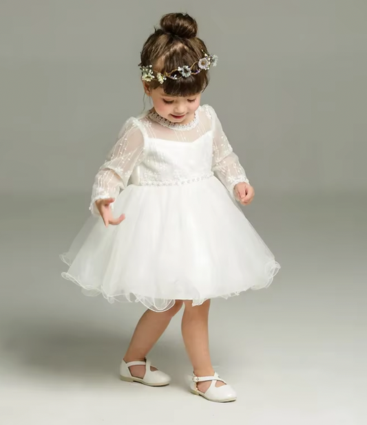 Elegant Embroidered Tulle Princess Dress - mamasame